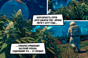 Auto Gagarin миф правда