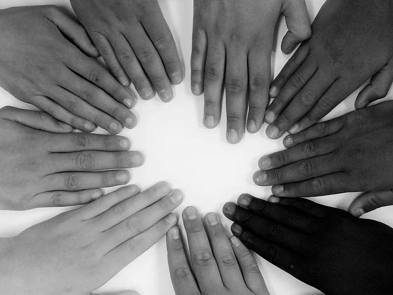 Членство в канна-клубах Участники канна-клуба