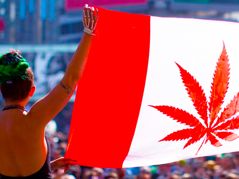 Легализация марихуаны в Канаде и езда за рулем Легализация марихуаны в Канаде и вождение автомобиля