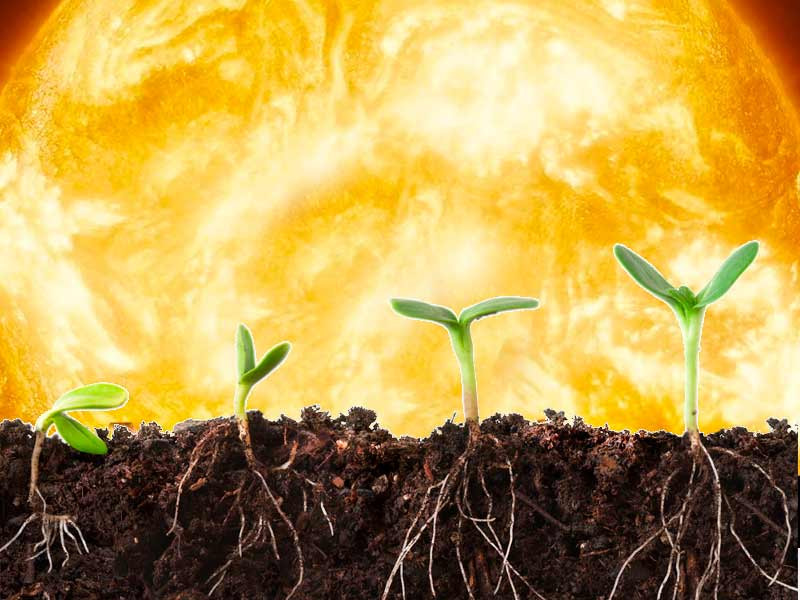 Тепловой и световой ожёг Световой ожёг