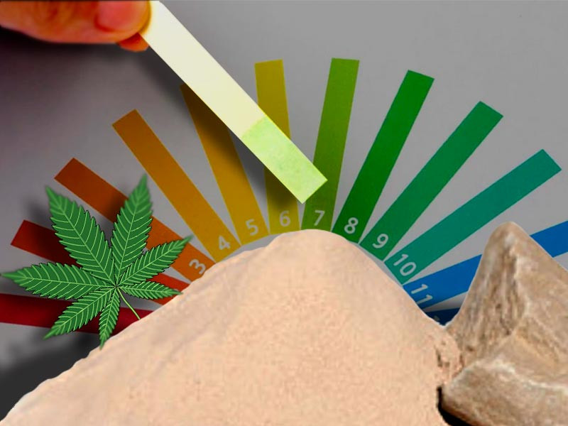 Доломитовая мука снижает кислотность почвы Доломитовая мука для конопли