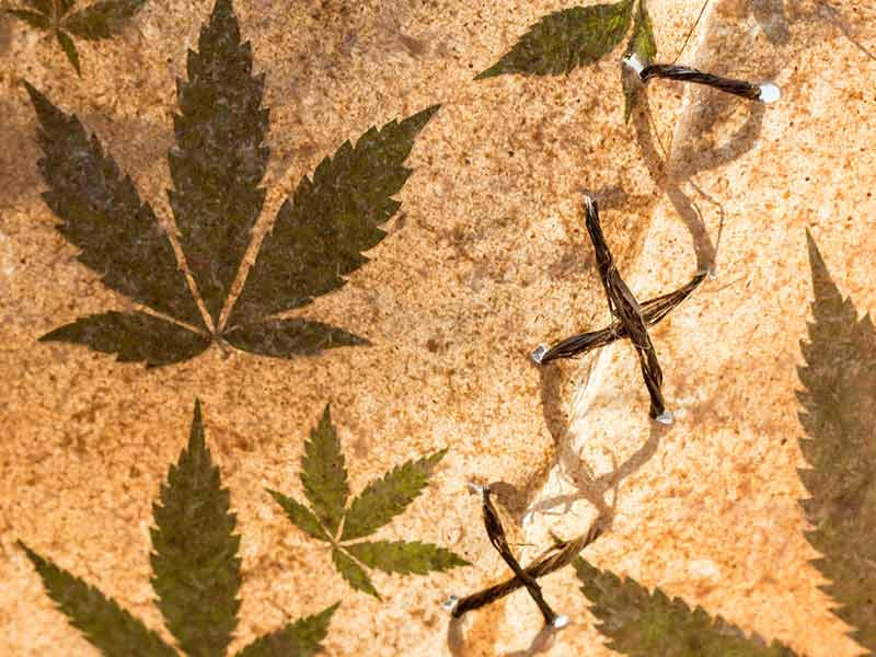 Бумага изготовленная из конопли Бумага из конопли