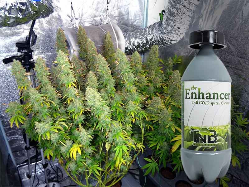 CO2 bottle CO2 bottle