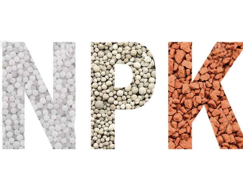 Основные элементы для каннабиса Натрий Фосфор Калий