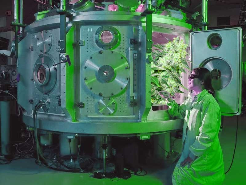 Ученые гроверы из университета