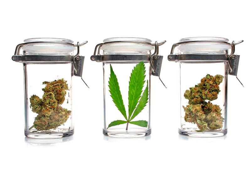 Ароматизация сухих бошек конопли в банках Ароматизация сухих шишек марихуаны