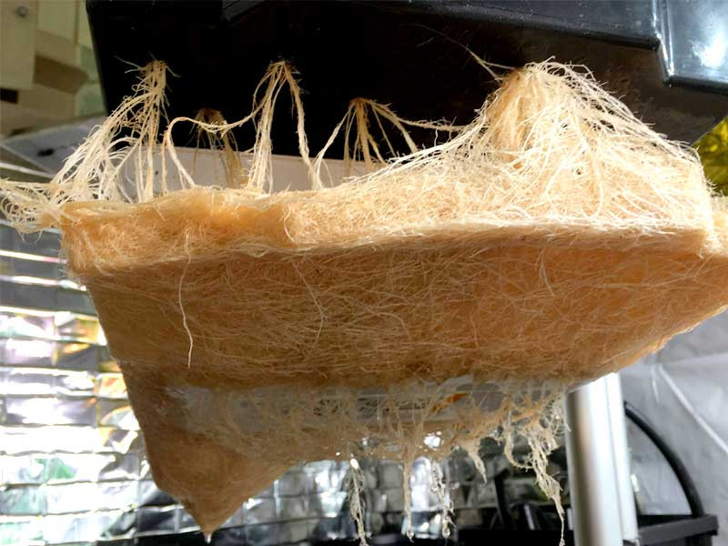 SWC - гидропоника где емкости с раствором ниже 20 см высотой Гидропоника - Способ мелководных растений